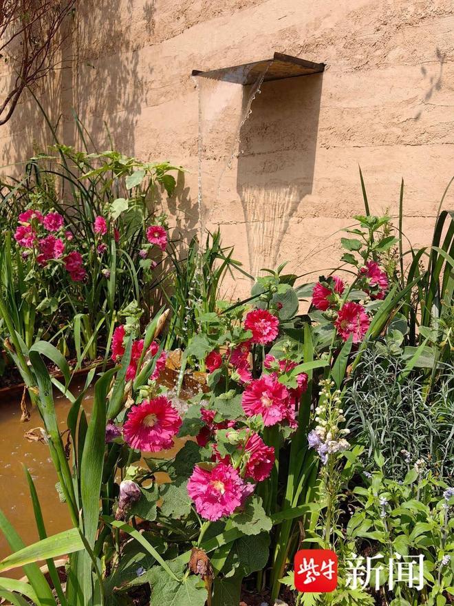 展会作品搬到街角！闲置空地变身“春日花园”