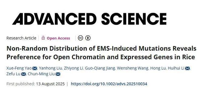 中国科学院最新研究发现EMS诱变在水稻基因组呈非随机分布偏好功能重要区域